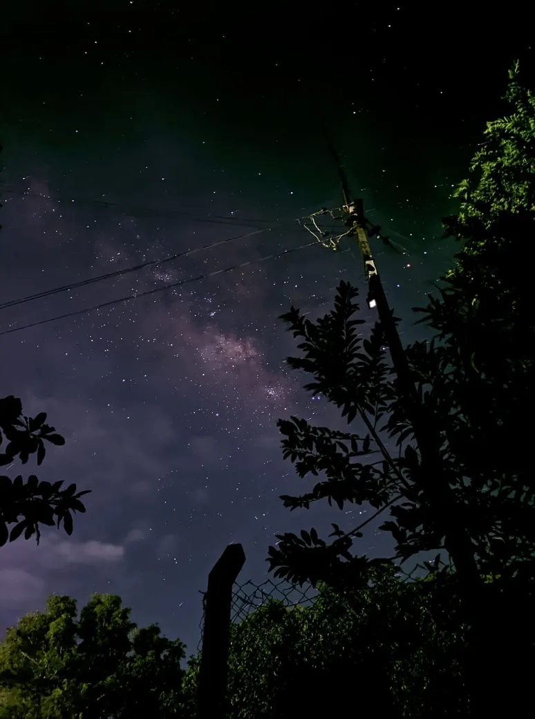 Milky Way above trees and a power pole